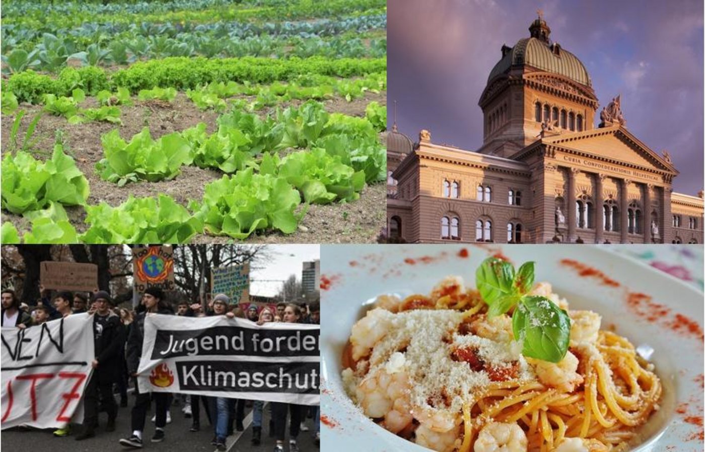 Landwirtschaft, Politik, gesellschaftliche Bewegungen und individuelle Kaufentscheide: sie alle sind entscheidende Faktoren für den Umbau der derzeitigen Produktion hin zu mehr Nachhaltigkeit. (Bild Fotomontage jsc)