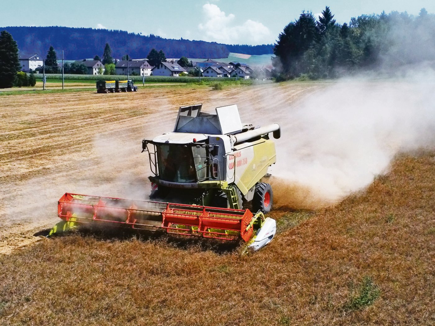 Im Einsatz auf einem engen Markt mit harter Konkurrenz: Ein Schneider-Mähdrescher bei der Ernte von Eiweisserbsen. 