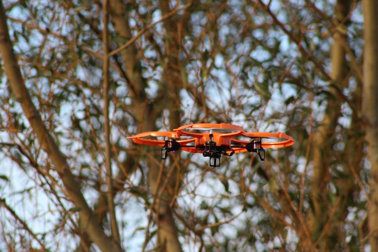 Sind Drohnen ein Problem für Vögel? (Bild Pixabay)