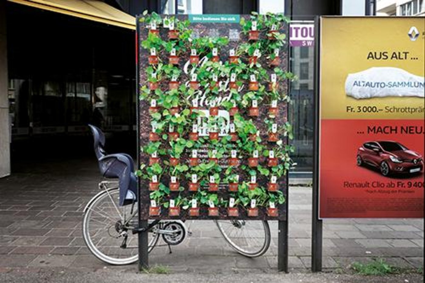 Die über 100 Bioterra-Setzlinge durften mit nach Hause genommen werden. Ein Gutschein lag auch bei. (Bild zVg) 