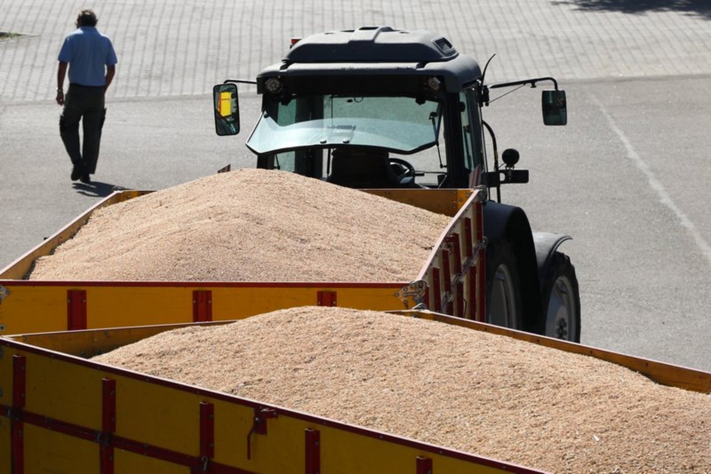 Würden die Schweizer Futtermühlen ausschliesslich den Inlandanteil von 40 bis 45% einsetzen, müsste die Branche ihr Futterangebot drastisch reduzieren. (Symbolbild Ruth Aerni)