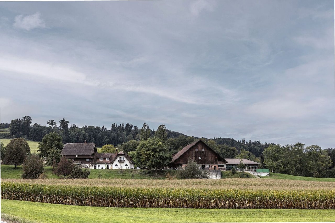 Samuel Künzli und Carol Sidler haben den Kehrhof im luzernischen Oberkirch seit 1. Januar 2022 gepachtet. 