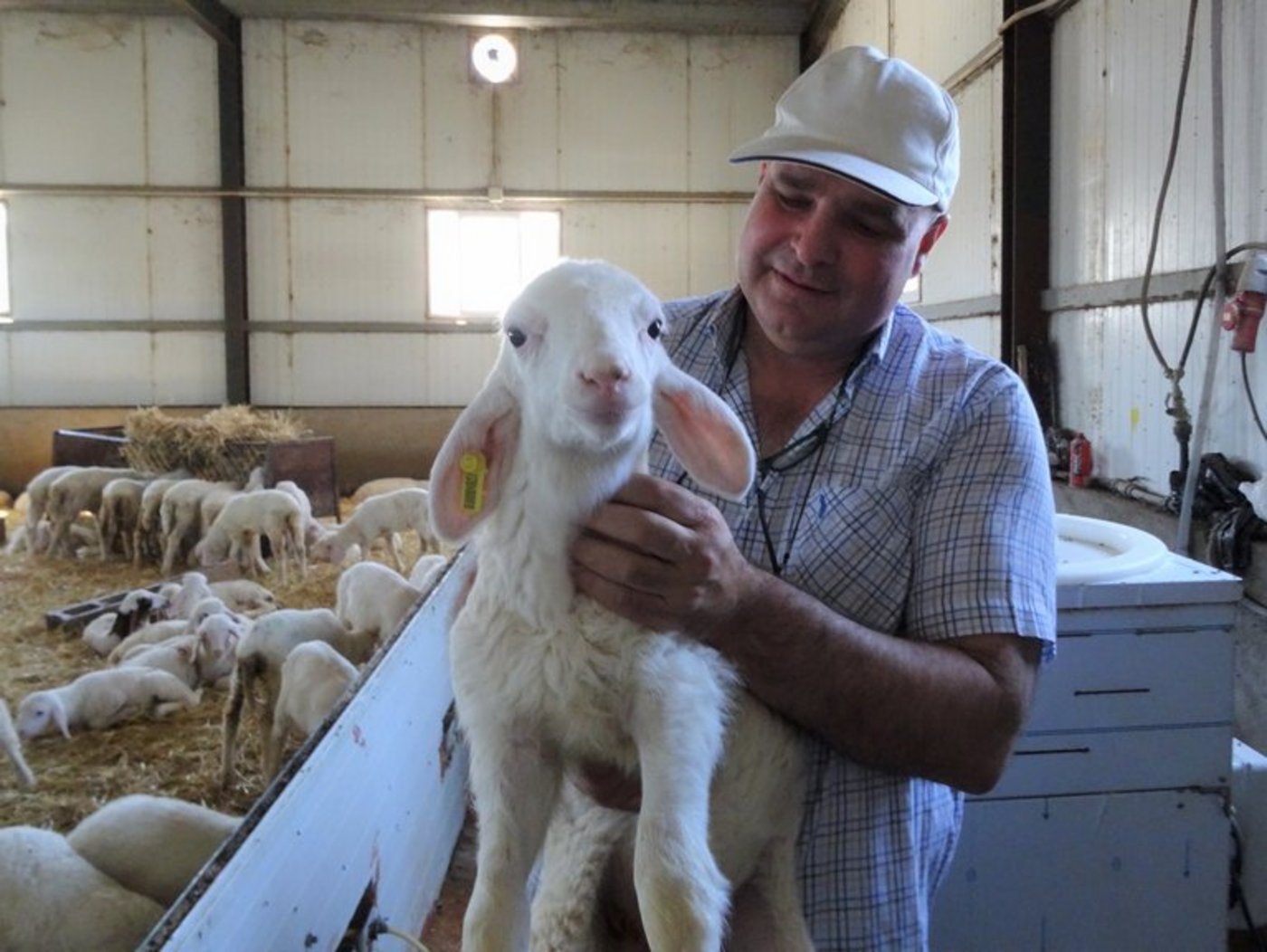 Antonio Marqués de Mendiola sah im Modell Crowdfarming eine Chance, seinen Schafskäse nicht nur lokal sondern international verkaufen zu können. Sonst hätte der Umweltingenieur die Farm seiner Eltern wohl verkauft. (Bild Melina Gerhard)