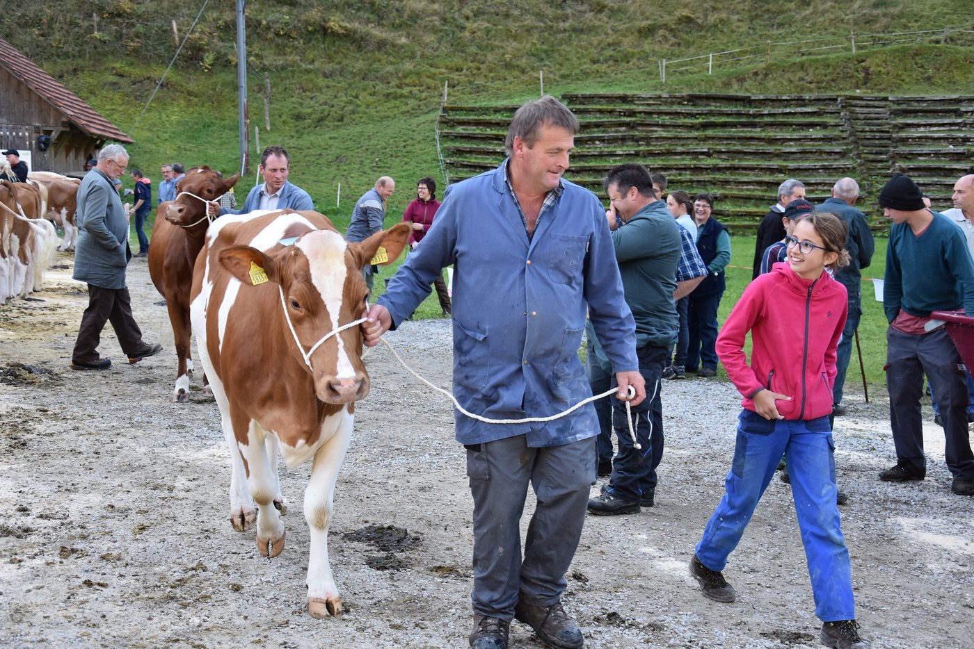 Fritz Bürki geht mit seiner Kuh in den Ring. Er holte mit ihr den Sieg in der Kategorie 3 mit 44 44 93.