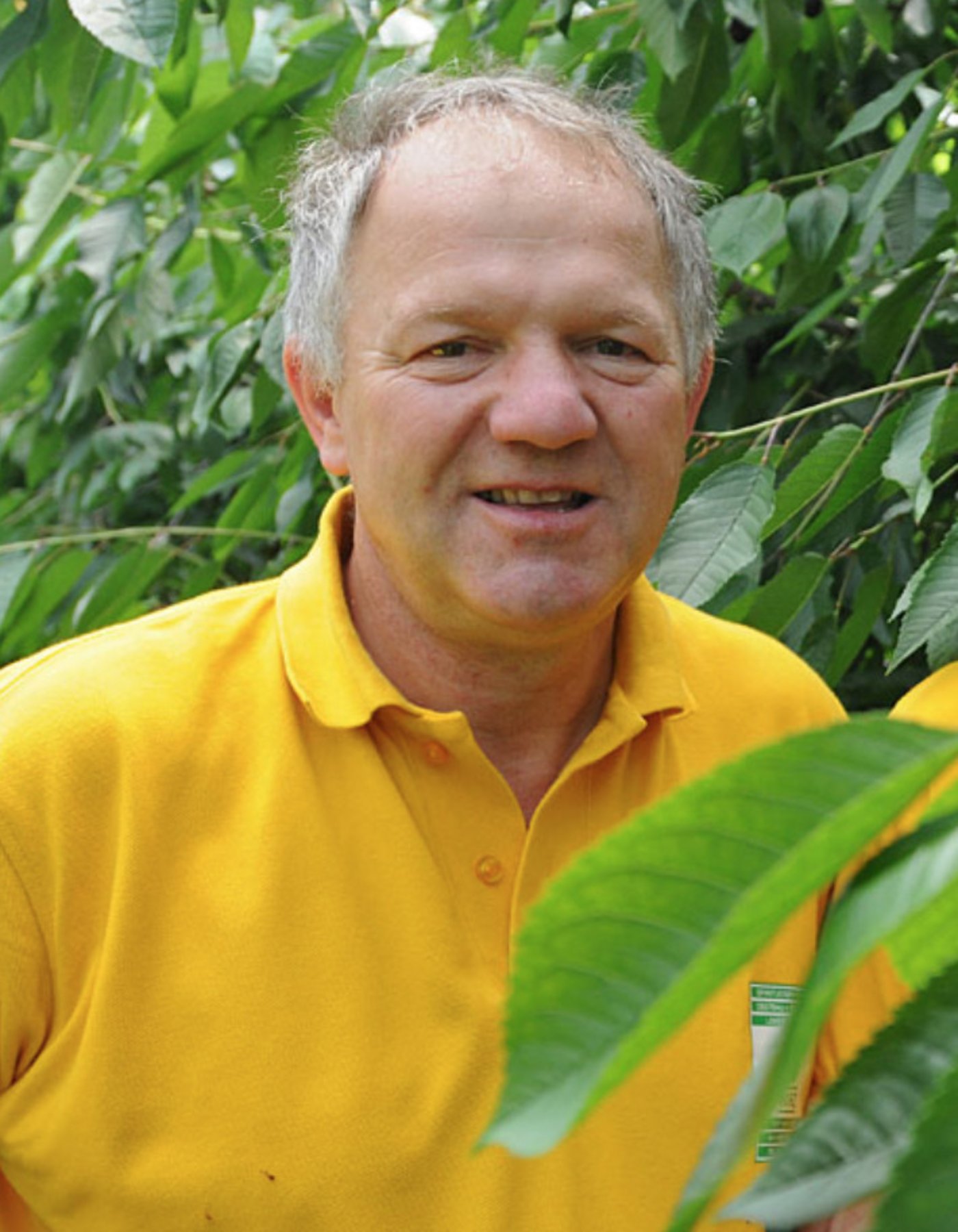 Hansruedi Wirz, Obstbauer und Präsident des Produktezentrums Kirschen/Zwetschgen von SOV und Swisscofel: «Wissen was man hat, tut man erst am Ende der Ernte.» (Bild Printscreen wirz-obstbau.ch)
