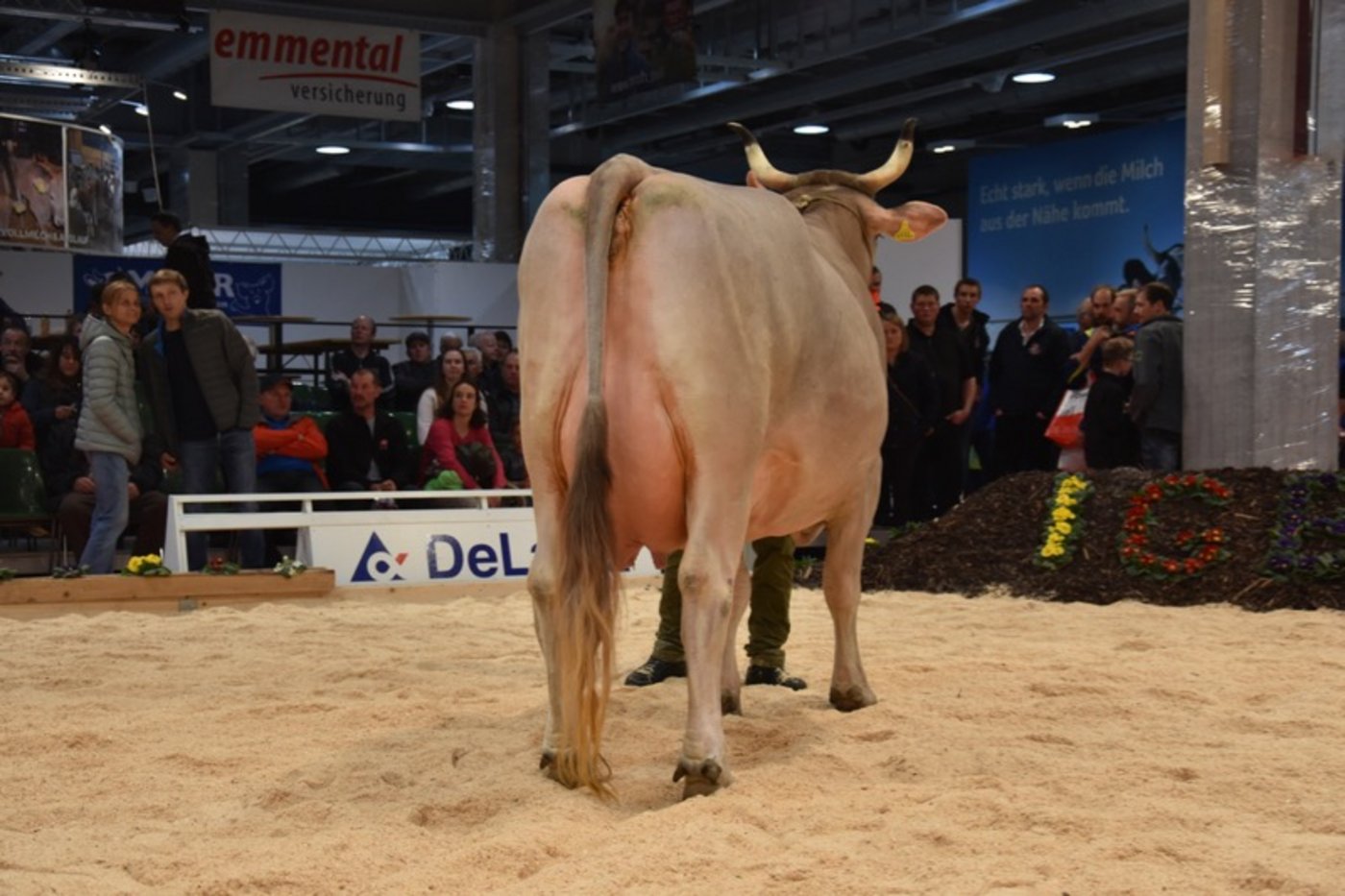 Kamilo Milka von René Stalder wurde Schöneuter-Champion.