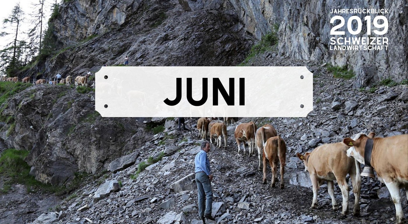 Bild Jahresrückblick: Monat Juni 2019 (Bild: BauZ)