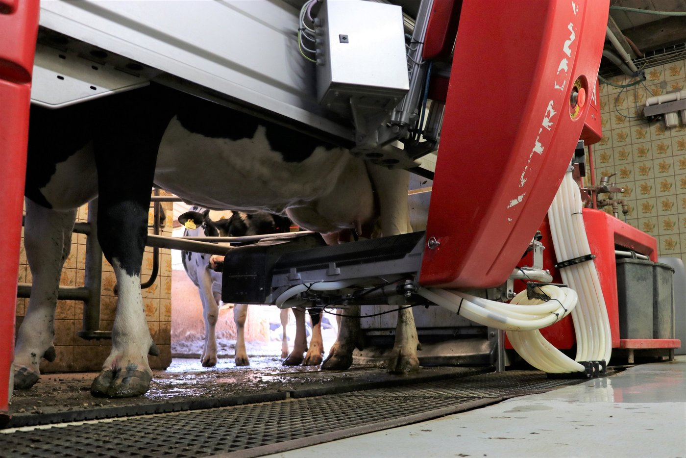 Heute läuft auf dem Betrieb das zweite Modell, ein Typ A3. (Bild rae)