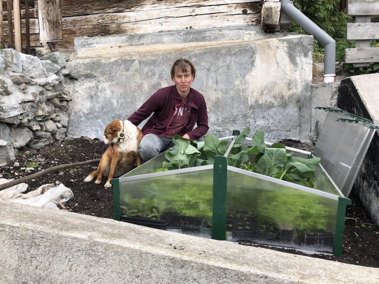 Silvia Moser mit Hund Gina: Die Bäuerin ist stolz auf ihr Gemüse im Treibkasten.