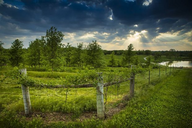 Mit Agrarökologie gegen Hunger und Klimawandel Die Agrarökologie wird häufig als eine integrierte Lösung dargestellt, die zwei zentrale Herausforderungen der heutigen Landwirtschaft miteinander in Einklang bringen soll: Die Ernährung einer wachsenden Bevölkerung bei gleichzeitiger Schonung der natürlichen Ressourcen. (Bild Biovision)
