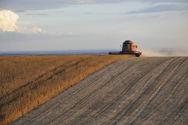 EU: Weniger Pflanzenschutzmittel, Dünger und Antibiotika In Landwirtschafts-Kreisen befürchtet man Ertragseinbussen und fordert, die Auswirkungen der geplanten Massnahmen müssten vor der Zielfestlegung weiter bewertet werden. (Symbolbild Pixabay)