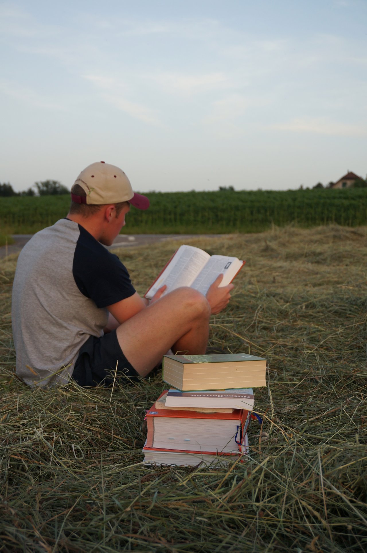 Der Bücherstapel auf dem Feld mag ungewohnt aussehen, doch Theorie und Praxis schliessen sich nicht aus. (Bild Deborah Rentsch)