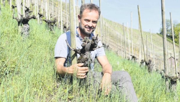 Holger Herbst ist auf Umwegen zum Weinbau gekommen. (Bild Lara Aebi)