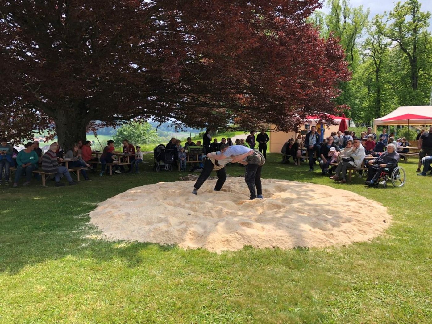 Im Februar teilte das OK noch die Durchführung des Mittelländischen Schwingfestes in Riggisberg mit. Nun hat sich das OK für eine Absage entschieden. (Bild MSF)