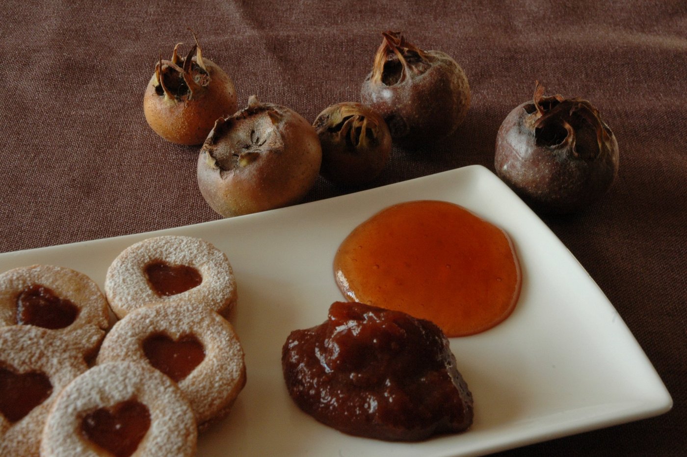 Ein lecker Mispel-Mus. (Bild mib)