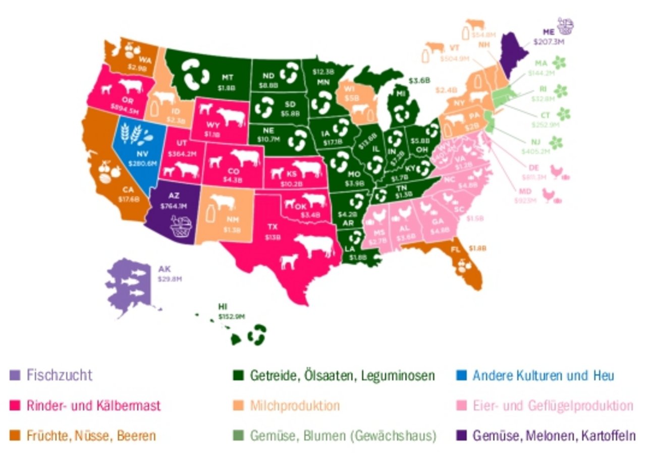 Die 50 US-Bundesstaaten und die wichtigsten Agrarbranchen mit Umsätzen in US-Dollars. M steht für Million, B steht für Billion, was im englischen Sprachgebrauch einer Milliarde entspricht. (Grafik howmuch.net)