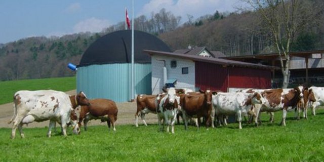 Der Kanton Thurgau will den Bau von Biogasanlagen unterstützen. (Bild: zVg)