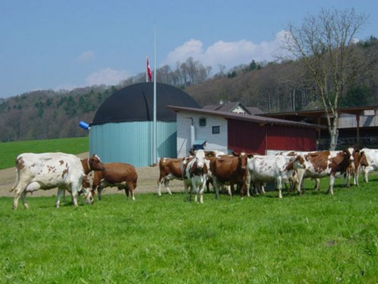 Der Kanton Thurgau will den Bau von Biogasanlagen unterstützen. (Bild: zVg)