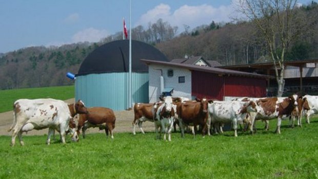Der Kanton Thurgau will den Bau von Biogasanlagen unterstützen. (Bild: zVg)