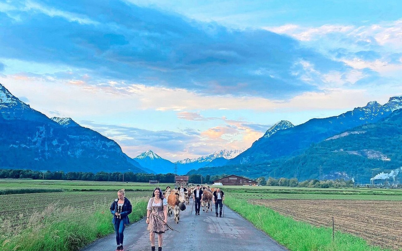 Im Flachen hatten es die Kühe noch eilig, denn sie wussten genau, dass es auf die Alp geht. Der Anstieg bremste sie dann etwas.