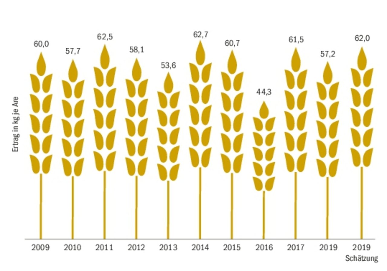 Laut Schätzungen aus der Umfrage der BauernZeitung im Verlauf dieser Woche fällt die Weizenernte 2019 besser aus als die letztjährige Ernte.(Quelle Agristat, Umfrage BauernZeitung)