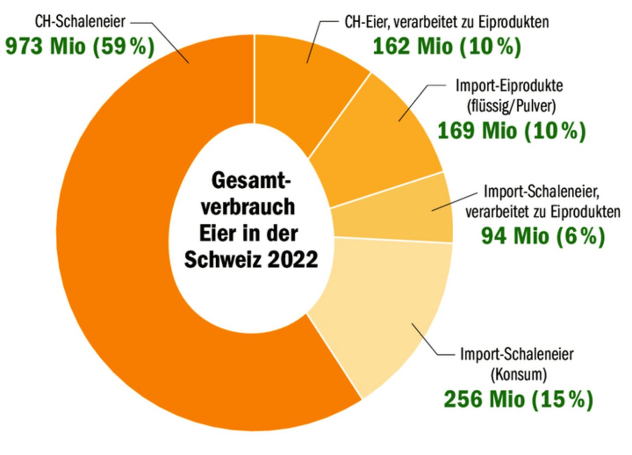 Ein Grossteil der im Inland konsumierten Eier wird hierzulande produziert. Doch insbesondere bei Nachfragespitzen an Ostern und Weihnachten braucht es Importe.