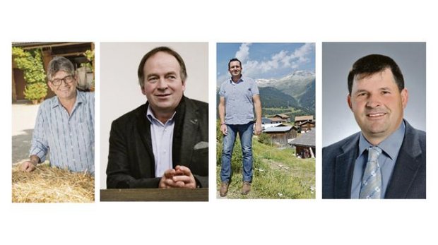 Martin Haab, Alois Huber, Thomas Roffler und Hans Jörg Rüegsegger bewerben sich als Vizepräsident des SBV. (Bilder zVg)
