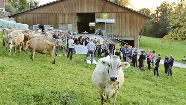 Kuh und Gras standen am Provieh-Anlass in Küssnacht im Mittelpunkt. Weidefachmann Remo Petermann brachte den Teilnehmenden die Vorteile der Weide nahe.(Bild Reto Betschart)