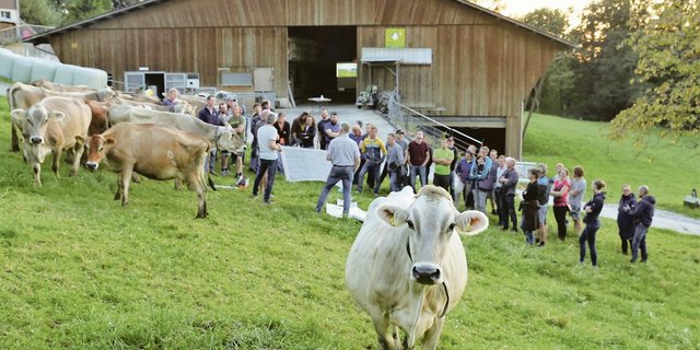 Kuh und Gras standen am Provieh-Anlass in Küssnacht im Mittelpunkt. Weidefachmann Remo Petermann brachte den Teilnehmenden die Vorteile der Weide nahe.(Bild Reto Betschart)