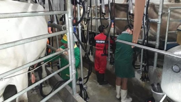 Milchkontrollen werden unter anderem durchgeführt, damit jedem Bauern der entsprechende Milchertrag angerechnet werden kann. (Bilder Regula Colombo)