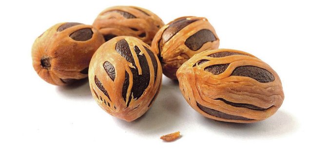 Ein weniger gewohnter Anblick von Muskatnüssen. Sie wirken psychoaktiv und  verdauungsfördernd.