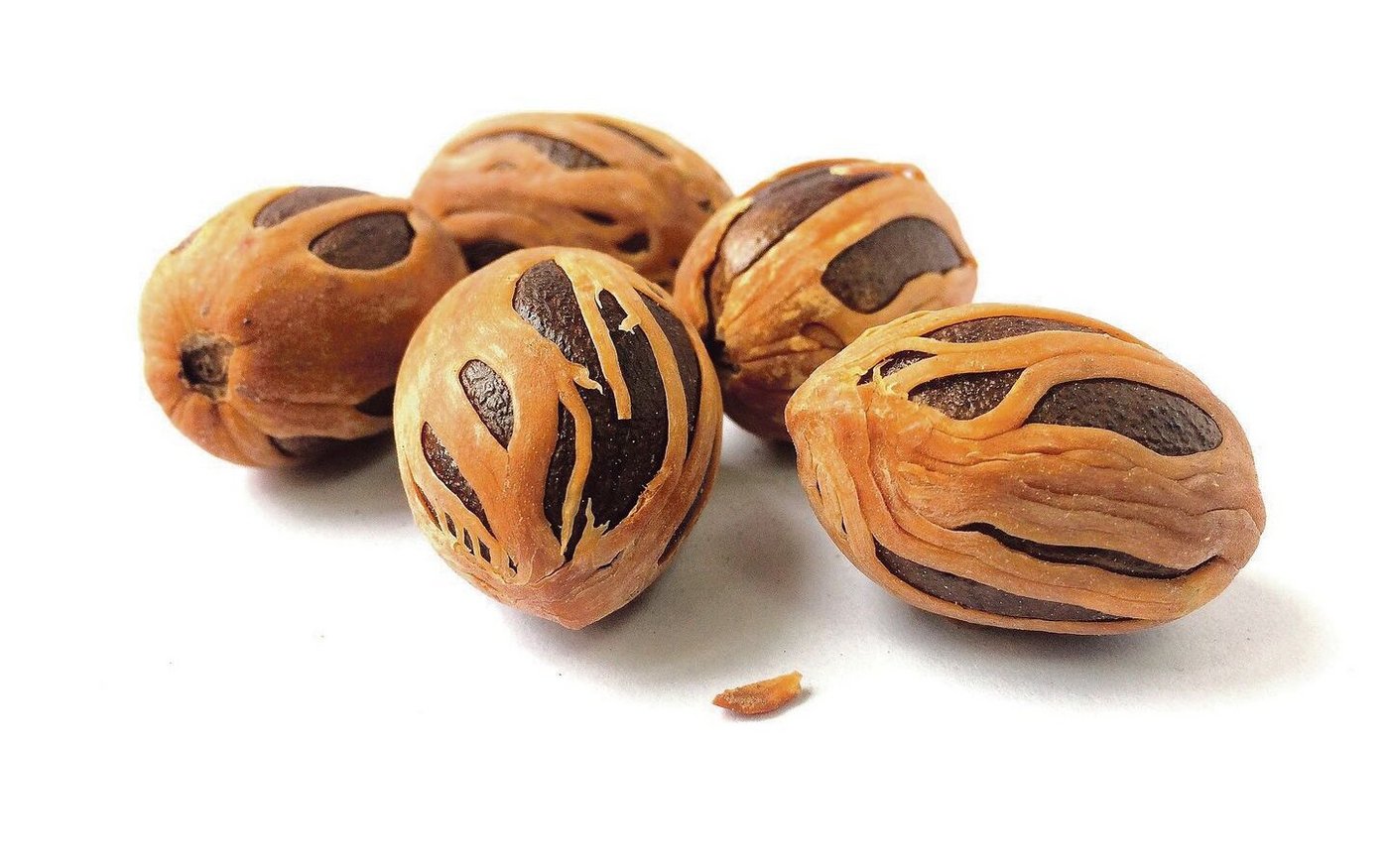 Ein weniger gewohnter Anblick von Muskatnüssen. Sie wirken psychoaktiv und  verdauungsfördernd.