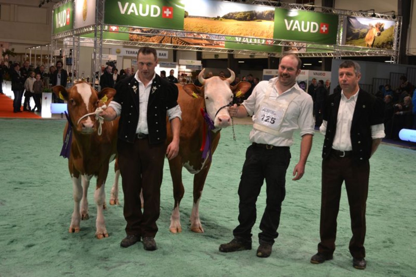 Rinder-Champion (rechts): Vinos Divine, Daniel Saudan, Châtel-St-Denis FR / Vize-Rinder-Champion: Sunside Barny Grischa, Christian Stucki, Uebeschi BE