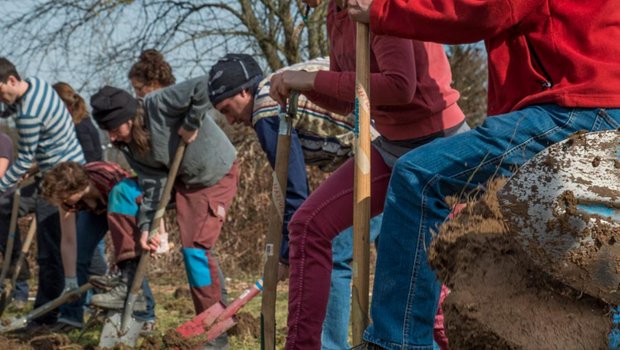 Die Mitglieder haben rund fünf Einsätze pro Jahr auf einem "solidarischen" Betrieb. Als Gegenleistung erhalten sie Gemüse und Früchte. (Bild solawi.ch)