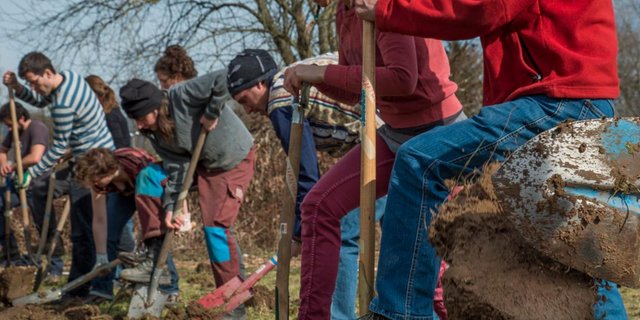 Die Mitglieder haben rund fünf Einsätze pro Jahr auf einem "solidarischen" Betrieb. Als Gegenleistung erhalten sie Gemüse und Früchte. (Bild solawi.ch)