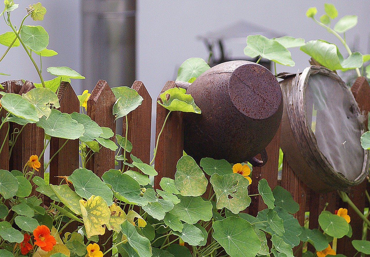 Dass die Pestizidverbots-Initiatve unter anderem auch Hobbygärtner in die Pflicht nimmt, ist für die VKMB entscheidend. Private Gärten sollten nämlich auch vielfältiger bewirtschaftet werden. (Symbolbild Pixabay) 