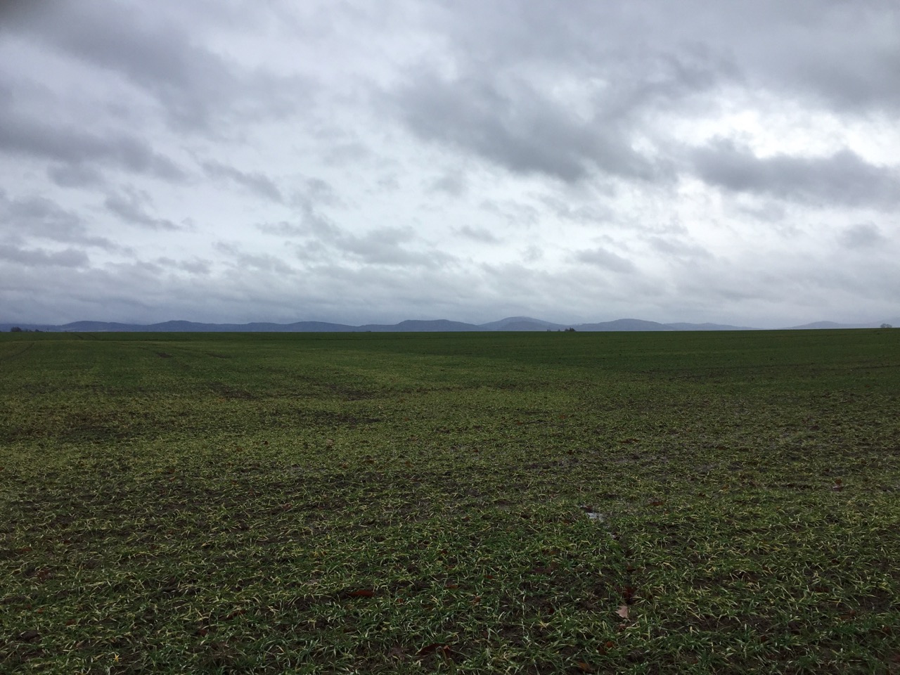 Investoren gefährden ostdeutsche Landwirtschaft - bauernzeitung.ch