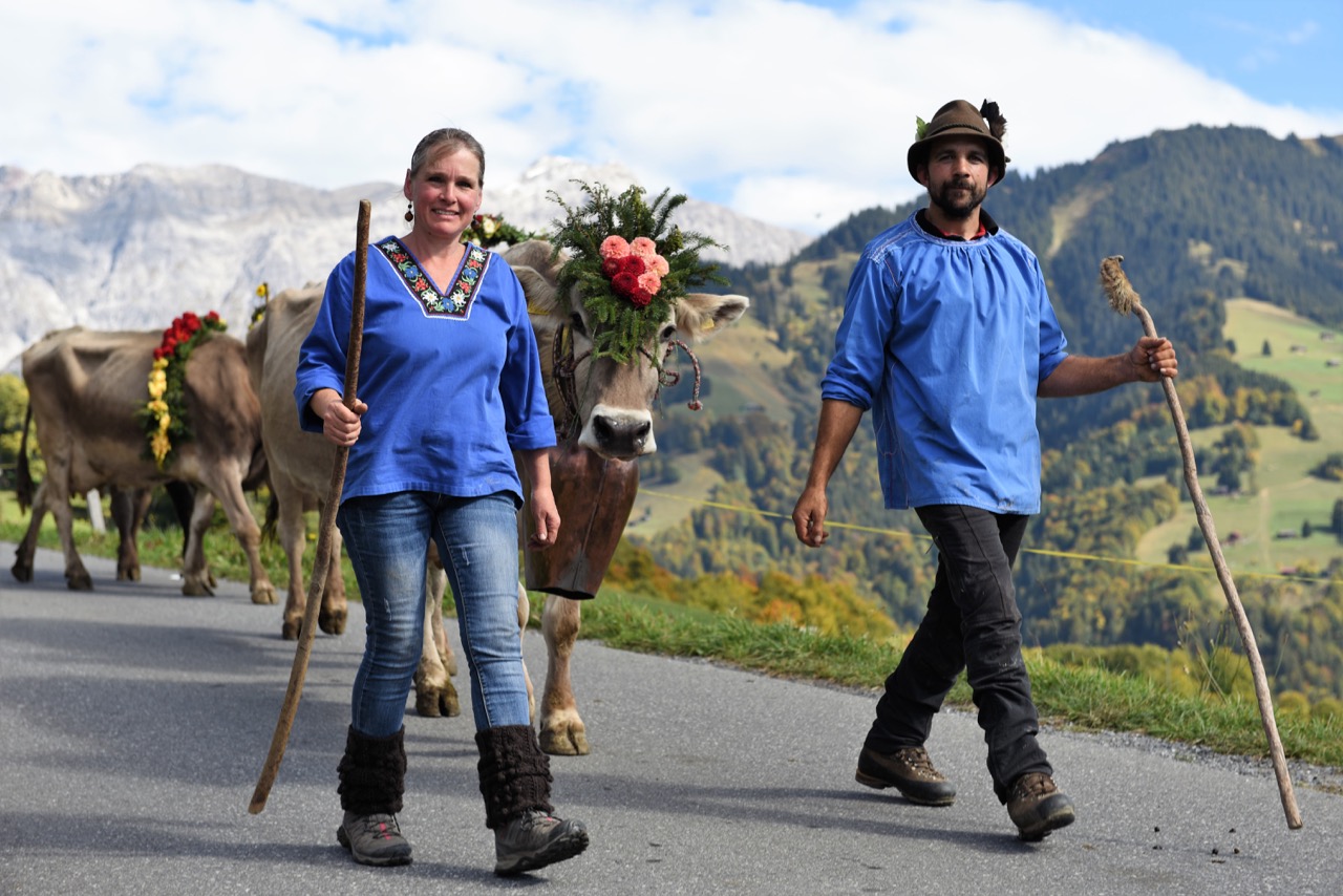 Vor imposanter Kulisse ziehen die Kühe am Prättigauer Alpspektakel wieder ins Tal - nach Seewis GR. (Bilder zVg)