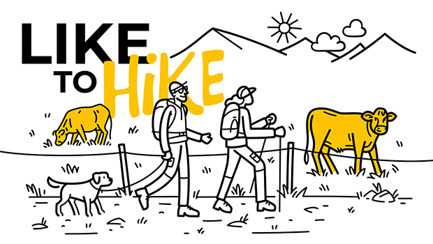 «Like to Hike» ist eine Zusammenarbeit von Mutterkuh Schweiz und dem Verband Schweizer Wanderwege, um Unfälle auf Bergwiesen zu vermeiden. (Bild like-to-hike.ch) 