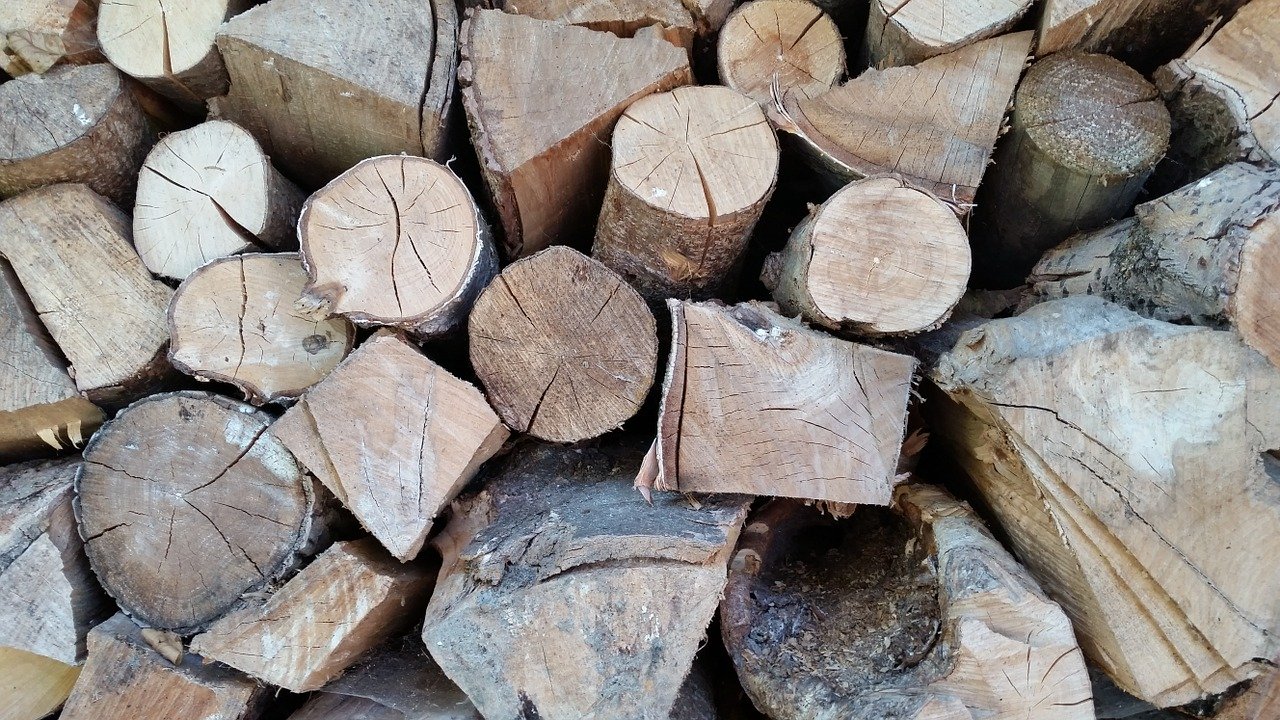 Der Borkenkäfer hinterlässt massenhaft befallenes Holz, das aus dem Wald entfernt erden muss und den Holzmarkt belastet. (Bild JoergPeters/Pixabay)