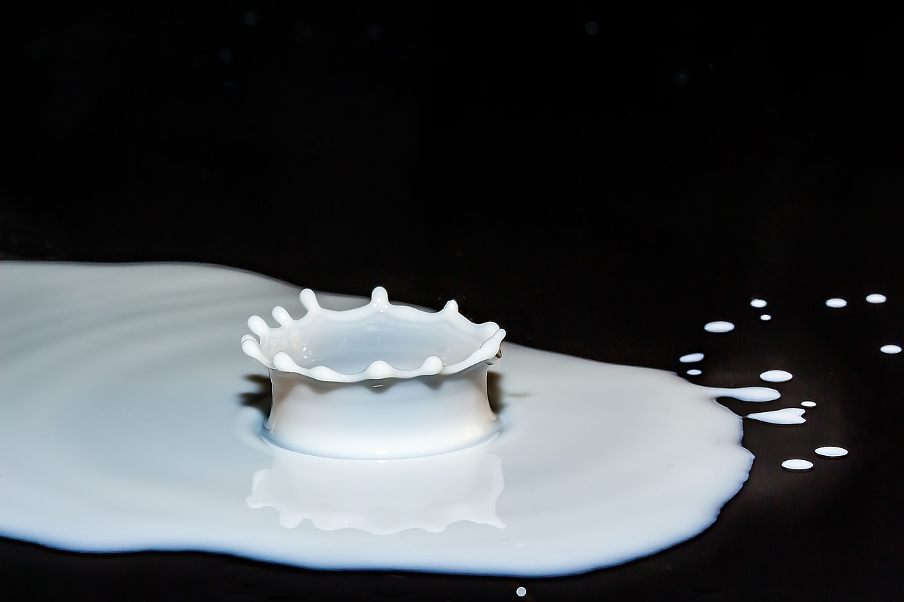 Auf dem internationalen Milchmarkt sind die Preise wieder gesunken. (Symbolbild Pixabay)