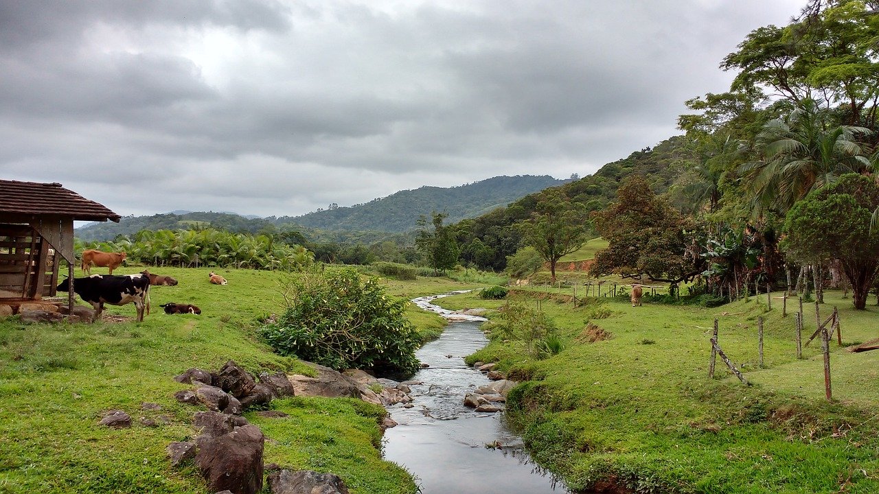 Unter anderem könnte die Kritik an Waldrodungen in Brasilien das Freihandelsabkommen zum Kippen bringen. (Symbolbild Pixabay)