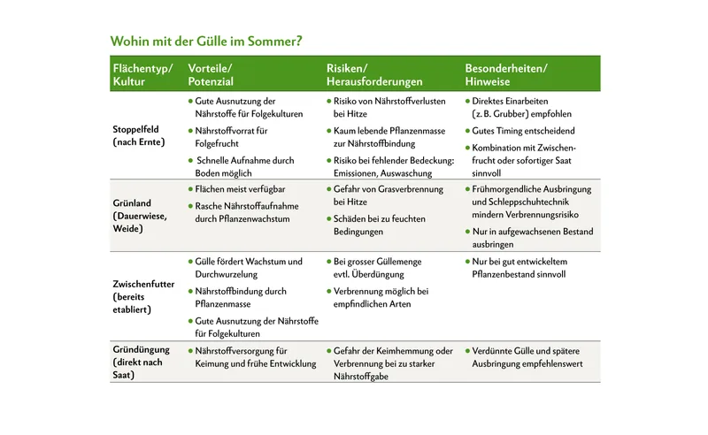 Gülleausbringung im Sommer: Beste Flächen, optimale Technik und umweltschonende Strategien