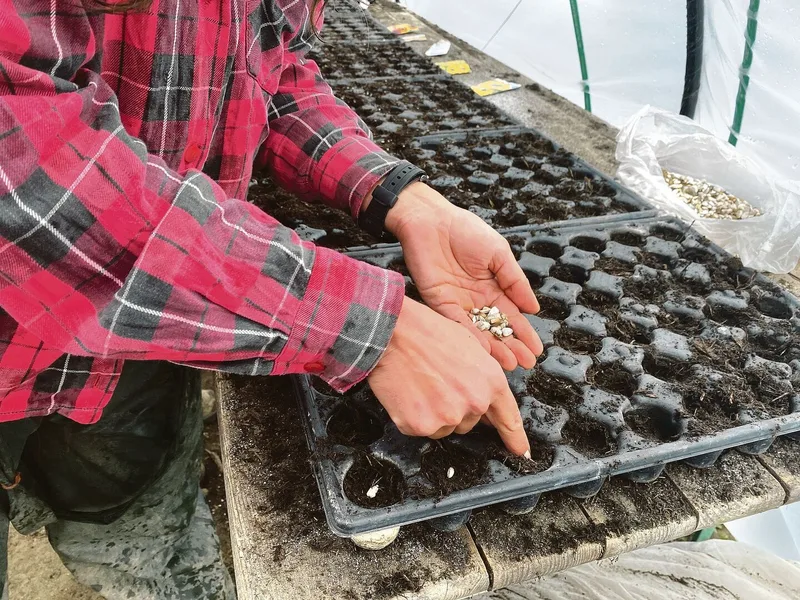 Beim SAH-Projekt in Emmenbrücke sind Sprachbarrieren nicht selten. Daher zeigen Petra Köchli und ihr Kollege viele Arbeiten vor statt sie zu erklären.
