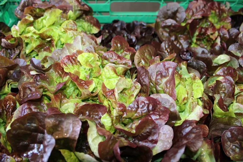 Direktvermarktung in die Gastronomie: Mehrwert für Produzent(innen)?