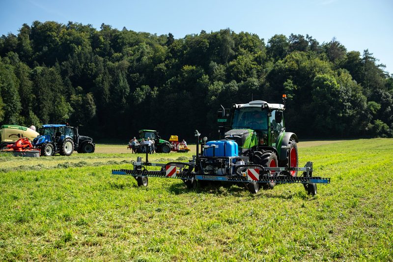 «In diesem Jahr musste man etwas frech sein»