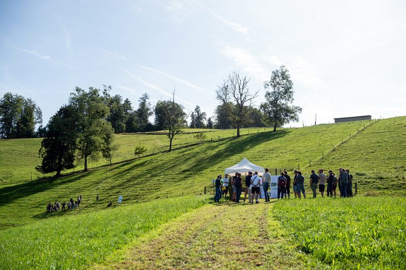 «In diesem Jahr musste man etwas frech sein»