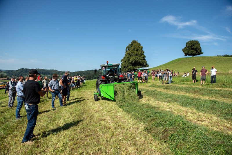 «In diesem Jahr musste man etwas frech sein»