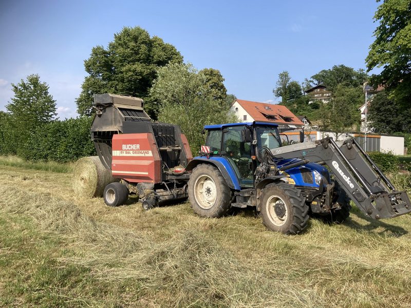 Enea Zimmermann erntet Heu in Deutschland und kommt in die Zollkontrolle