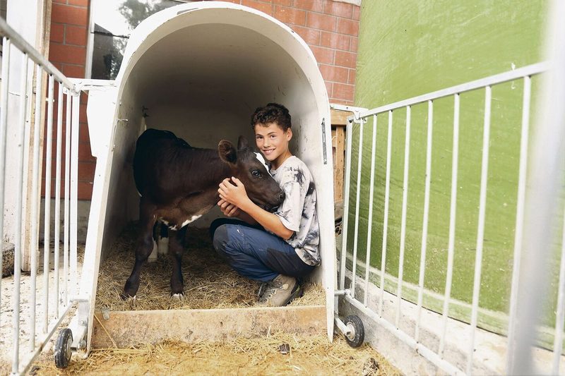 Der 14-jährige Mauritz liebt es, mit den Tieren zu arbeiten.